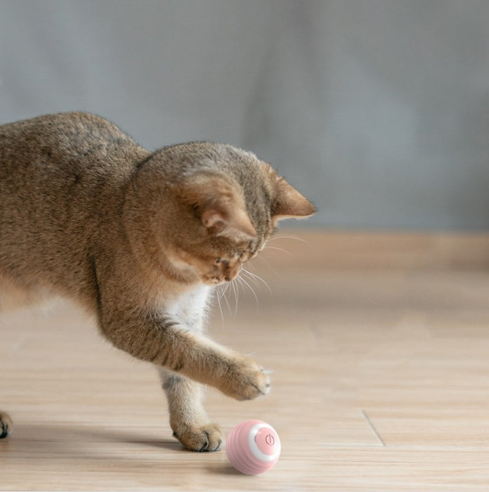 Automatisches Rollball-Smart-Spielzeug für Katzen